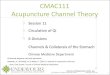 CMAC111 Acupuncture Channel Theory · CMAC111 Acupuncture Channel Theory  Session 11 Circulation of Qi 6 Divisions Channels & Collaterals of the …