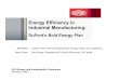 Energy Efficiency in Industrial Manufacturing fileEnergy Efficiency in Industrial Manufacturing: ... electricity rate due to low-cost natural gas 5. Work Process ... you do if this