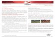 Principal’s Report - e q · Principal’s Report School Opinion Surveys Each year, key stakeholders are asked to consider their experiences with Urangan State High School. ... Denya