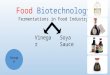 Food Biotechnology - Lectures For UG-5€¦ · PPT file · Web view · 2014-11-20Alcoholic Fermentation. Acidic Fermentation. Vinegar. Types of Vinegar. 11/19/2014. Group H. Types