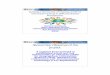 Platform for Disaster Management Second Key Objective … 5... ·  · 2015-01-30Platform for Disaster Management Asia-Pacific Research and Training ... Academi a Academia NDMA NDMC