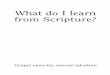 What do I learn from Scripture? - Plymouth Brethren · What do I learn from Scripture? ... who was with God and was God, was made flesh, ... David according to the flesh,5 the Son