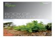 BODY OF KNOWLEDGE - NGICPngicp.org/wp-content/uploads/2016/07/NGICP_Body-of-Knowledge-1.… · The Body of Knowledge (BoK) ... bioswales, tree/planter boxes, ... were PowerPoint slide