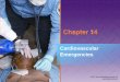 Chapter 14 · Chapter 14 Cardiovascular Emergencies . Introduction (1 of 2) • Cardiovascular disease has been leading ... Anatomy and Physiology (14 of 21)