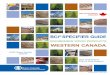 BCI SPECIFIER GuIdE - satruss.ca® SPECIFIER GuIdE ENGINEERED WOOD PRODUCTS WESTERN CANAdA WSG CANADA, March 2012 High Performance Floor & Roof Systems ... CSA O86…