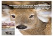 METHODS TO IDENTIFY AND PRIORITIZE DEER locations.pdfDVC/mile to identify hotspots, ... gaps, the DVCIR commissioned the Investigation of Methods to Identify and Prioritize Deer-Vehicle