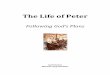 The Life of Peter - Joy Two Publicationsjoytwopublications.com/.../2015/06/The-Life-of-Peter-Intro-Section.pdf · The Life of Peter. Following God’s Plans . Gail Tiessen. Elfrieda