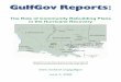 The Role of Community Rebuilding Plans in the Hurricane ...parlouisiana.org/wp-content/uploads/2016/03/GulfGov-Reports-The... · GulfGov Reports The Role of Community Rebuilding Plans