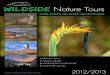 Wildside Nature Tours • 888.875.9453 • info@WildsideNatureTours.com ABOUT WILDSIDE Since 1993, Wildside Nature Tours has …