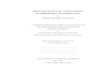 FORWARD MODELLING AND INVERSION OF GEOPHYSICAL MAGNETIC DATA ·  · 2008-06-26FORWARD MODELLING AND INVERSION OF GEOPHYSICAL MAGNETIC DATA by ... Current modelling methods that account