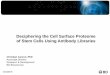 Deciphering the Cell Surface Proteome of Stem Cells … the Cell Surface Proteome of Stem Cells Using Antibody Libraries Christian Carson, PhD Associate Director Research & Development