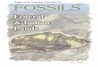 Assessment of Fossil Management on Indian Lands - … of Fossil Management on Federal & ... ational values. Fossils on Indian lands with commercial value are managed as trust resources,