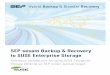 SEP sesam Backup & Recovery to SUSE Enterprise … maintains a hierarchy of devices and the ... Hyper-V Citrix ...  I SEP sesam Backup & Recovery to SUSE Enterprise Storage 