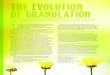 THE EOTO OF GRANULATION - Sandvik Process Systemsprocesssystems.sandvik.com/.../01/The-evolution-of-granulation.pdf · Granulation process comparison Units Historical multi-pass Historical