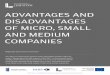 ADVANTAGES AND DISADVANTAGES OF MICRO ... - …konfederacjalewiatan.pl/en/_files/publications/RaportMSP_EN_30_03.pdf · ADVANTAGES AND DISADVANTAGES OF MICRO, SMALL AND MEDIUM 