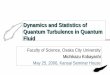 Dynamics and Statistics of Quantum Turbulence in Quantum Fluidmichikaz/presentation/2006-5-25.pdf · Dynamics and Statistics of Quantum Turbulence in Quantum Fluid ... analogy with