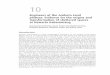 Engineers of the Arnhem Land plateau: Evidence for the ...press-files.anu.edu.au/downloads/press/n3991/pdf/ch10.pdf · Jean-Jacques Delannoy, Bruno David, Jean-Michel Geneste, 