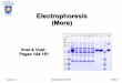 Electrophoresis (More) - University of Lethbridgepeople.uleth.ca/~steven.mosimann/bchm3100/Bchm3100_L3.pdf · Electrophoresis (More) Voet & Voet: ... Gel Electrophoresis – Pore