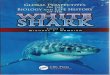 Chapter 31: Responding to the Risk of White Shark Attacksharkspotters.org.za/.../10/...the-risk-of-white-shark-attack-sm.pdf · resndinPo G to the risk of White shark attack 479 in