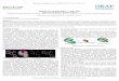 ISSN 2229-3566 Review Article  · ISSN 2229-3566 Review Article  MOLECULAR DOCKING: A REVIEW ... Molecular Docking software’s are mainly used in drug development