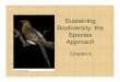 Sustaining Biodiversity: the Species Approach - APESfrancisapes.weebly.com/.../chapter_9_sustaining_biodiversity_2010.pdf · Chapter Overview Questions • How do biologists estimate