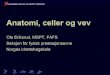 Ola Eriksrud - NIHnih.publishon.no/ppt/1_anatomi_celler_og_vev.pdf · Leddene (arthrologi) ! Musklene (myologi) ! Nervesystemet (neurologi) ! Det vaskulære systemet (angiologi) !