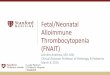 Fetal/Neonatal Alloimmune Thrombocytopenia (NAIT) Program Handouts...Illustrative case ... •MYH-9 disorders ... Prenatal testing for hemolytic disease of the newborn and fetal neonatal