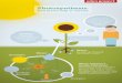 eden project Photosynthesis: how plants help us survive ... · eden project Photosynthesis: how plants help us survive Carbon dioxide 'his gas from th air is taken in through the