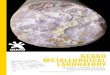 GEKKO METALLURGICAL LABORATORYgekkos.com/sites/default/files/documents/Brochure-MetLab.pdf · volume silver concentrate which incorporate auto-sludge ... The Gekko Metallurgical laboratory