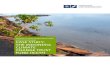 NATIONAL CLIMATE FINANCE INSTITUTIONS CASE STUDY… · 3 OVERVIEW OF THE INDONESIA CLIMATE CHANGE TRUST FUND ... national climate finance institutions ... that a comprehensive sector-based