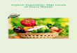 Organic Vegetables : High Levels of Heavy Metals!cercenvis.nic.in/PDF/Organic vegetables.pdf · The presence of pesticide residues and heavy ... sets more stringent standards for
