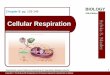 Cellular Respiration - Southeast Delco School District / …€¦ ·  · 2014-12-043 Cellular Respiration ... Please note that due to differing operating systems, ... Attached to
