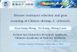 Disease resistance selection and gene scanning of … 1 - Monday... · Disease resistance selection and gene scanning of Chinese shrimp, F. chinensis Artemia Genome Workshop, Ghent,