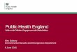 Public Health England - Investigation of Air Pollution ... · 3 Public health England Public Health England’s Air Pollution Objective Develop a programme in support of national