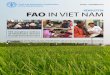 NEWSLETTER FAO IN VIET NAM and aim to support a total 5 145 households in Viet Nam. ... Land in Cong Hai commune, ... Final Workshop of FAO Project “Strengthening Forest