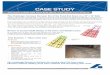 CASE STUDY - Whitepages · ©2014 BRADKEN® Case Study_Combating SAG Mill Feed End Wear with ... • Any further increases in lifter height are restricted by maximum liner mass within