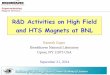 R&D Activities on High Field and HTS Magnets at BNL · R&D Activities on High Field and HTS Magnets at BNL ... Lorentz Forces in High Field Magnets ... May eliminate the High Energy