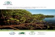 Review of Policy and Legislation Relating to the Use and ...macbio-pacific.info/wp-content/uploads/2017/08/Fiji_-Mangrove... · Review of Policy and Legislation Relating to the Use