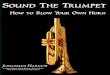 SOUND THE TRUMPET - Sol Ut Press - SolUtPress · JONATHAN HARNUM Author of Basic Music Theory: How to Read, Write and Understand Written Music HOW TO BLOW YOUR OWN HORN SOUND THE