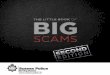 The Little Book of Big Scams – Second Edition€¦ ·  · 2015-03-06ashamed to report him to the police or ... telephone scams. Scams (or frauds) are often difficult to ... you