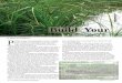 Build Your Own Wetland NO_2/Vernal Ponds p… · Volume 3 Issue 2 Kentucky Woodlands Magazine 13 Build Your Own Wetland An indication of the type of wetland that can be built may