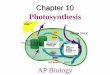 Photosynthesis - MyTeacherSite.org · to the chemical energy of food . ... – Photosynthetic organisms are able to harness light energy to make organic ... The Two Stages of Photosynthesis: