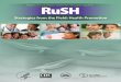 Registry and Surveillance System for Hemoglobinopathies RuSH · RuSH. Strategies from the Field: Health Promotion. Registry and Surveillance System for Hemoglobinopathies