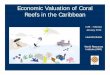 Economic Valuation of Coral Reefs in the Caribbean at Risk in the Caribbean (2004) Threat analysis fed into evaluation of economic losses • Coastal Development • Watershed-based