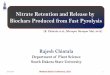 Nitrate Retention and Release by Biochars Produced from ... · o Nitrification – quickest reaction pathway, highly mobile ... SGB- non-activated SGB-activated. 10/2/2013 12 Nitrate
