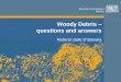 Woody Debris – questions and answers · geology, hill slope inclination → difficulties in assessment . Bavarian Environment Agency Woody debris in general // Transport and Deposit