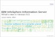 IBM InfoSphere Information Server - dsxchangedsxchange.net/uploads/Whats_new_in_8.5.pdf · designs to accelerate analyst collaboration ... 2010 IBM InfoSphere Information Server 