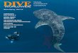DUMAGUETE SCUBA FIESTA GALAPAGOS …€¦ · The area’s most famous wreck is the German freighter, ... exceptional opportunities to discover Komodo and Raja Ampat ... as having