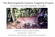The Monongahela Camera Trapping Project - Cougar · The Monongahela Camera Trapping Project ... • Number of animals in photographs ... l s s t e r n o t t o n t i l E s t r n W