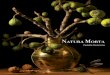 Natura Morta - Montclair State University set about creating my Natura Morta. im-ages inspired by the sumptuous detail of Old Master painters, highlighting the food as much as the